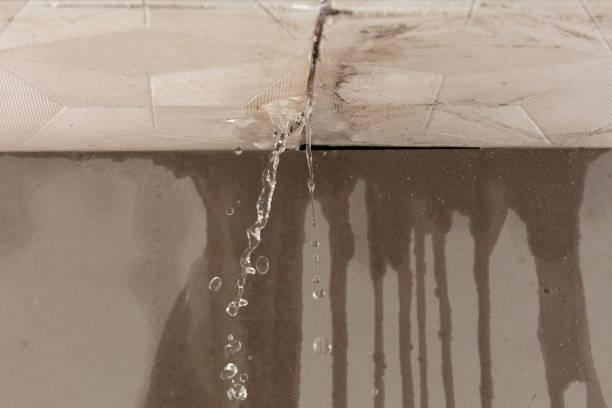 Professional Burst Pipe Cleanup technician working in Parachute, CO